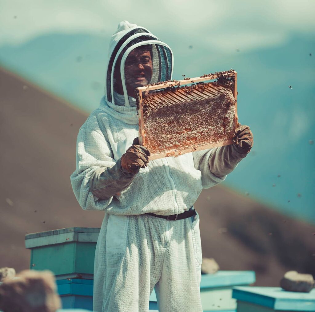 Lekso Nasuashvili – Director of “Honey at Home”Beekeeper Farmer